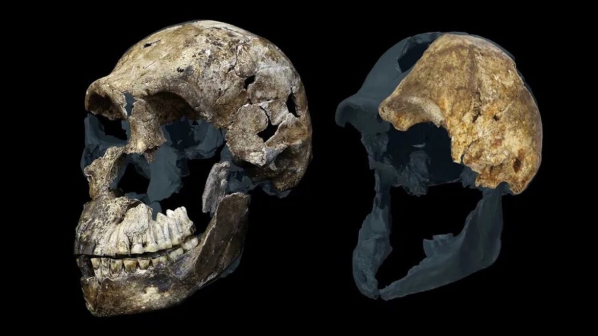 Homo naledi: todos los esqueletos eran femeninos y nadie lo esperaba