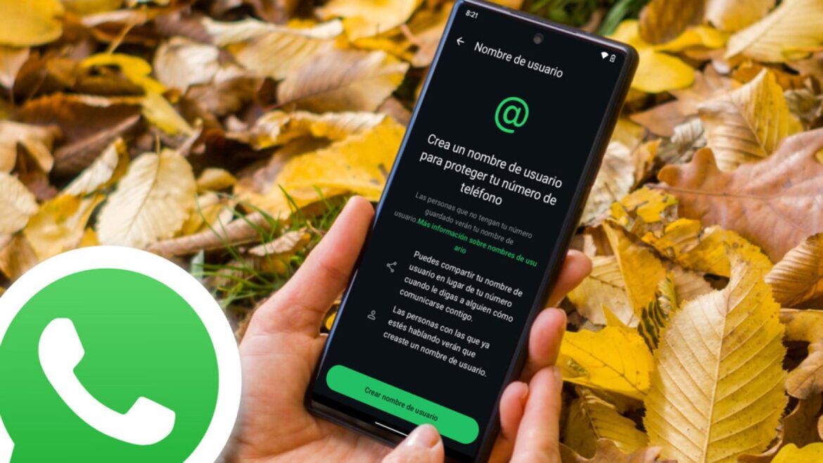 WhatsApp permite reservar tu nombre de usuario: corre antes de que vuelen - nombre de usuario WhatsApp