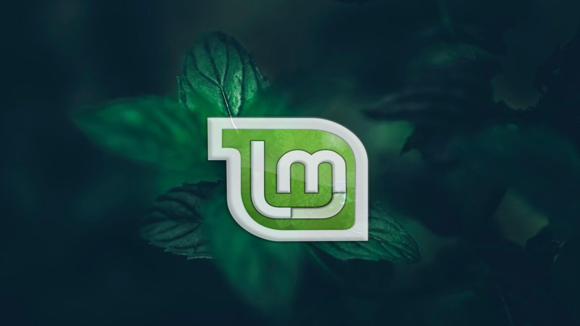 Linux Mint da el salto a Wayland con el nuevo escritorio Cinnamon 6.8 - Cinnamon 6.8 Wayland