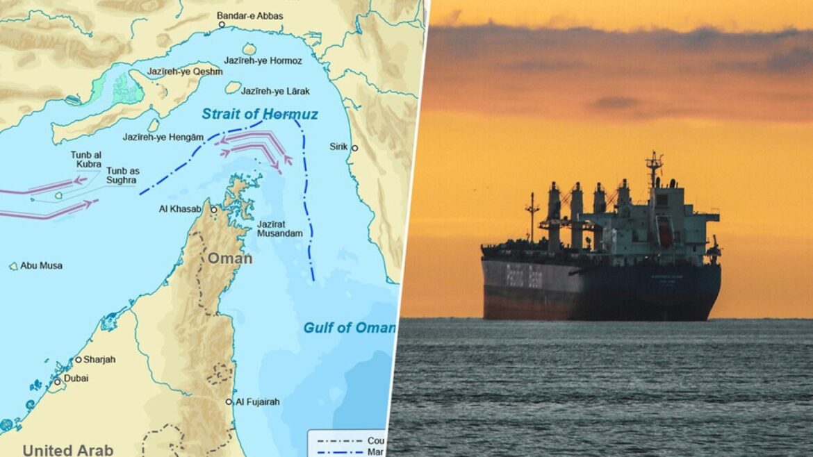 Ormuz: 1.500 barcos parados podrían liberar una plaga mundial - estrecho de Ormuz