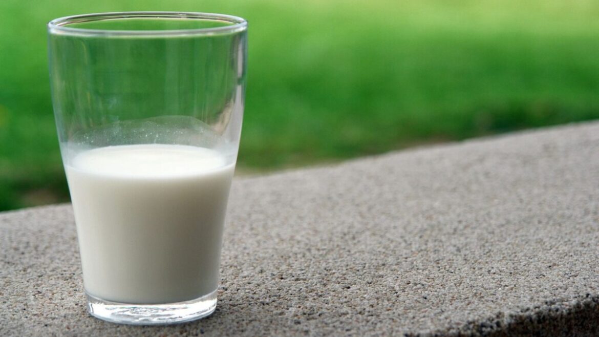 La leche en adultos no engorda ni causa cáncer: esto dice la ciencia