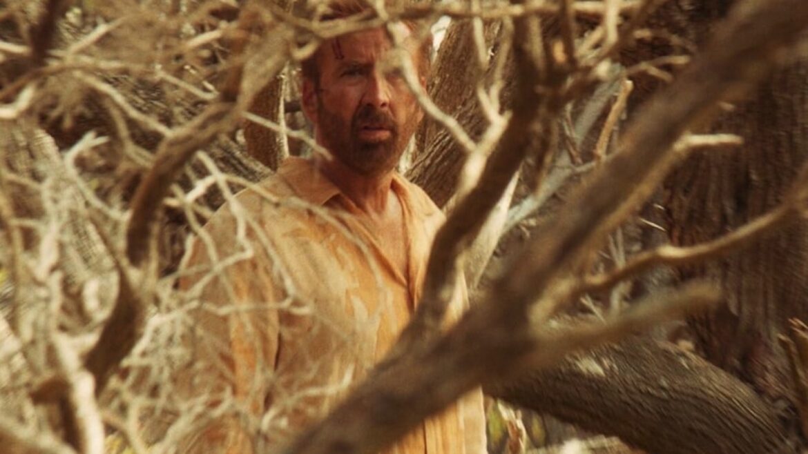 The Surfer llega a Prime Video: el Nicolas Cage más hipnótico y perturbador - The Surfer Prime Video