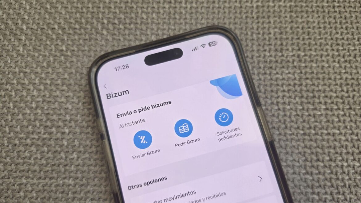 Bizum a la persona equivocada: cómo recuperar tu dinero paso a paso - Bizum persona equivocada