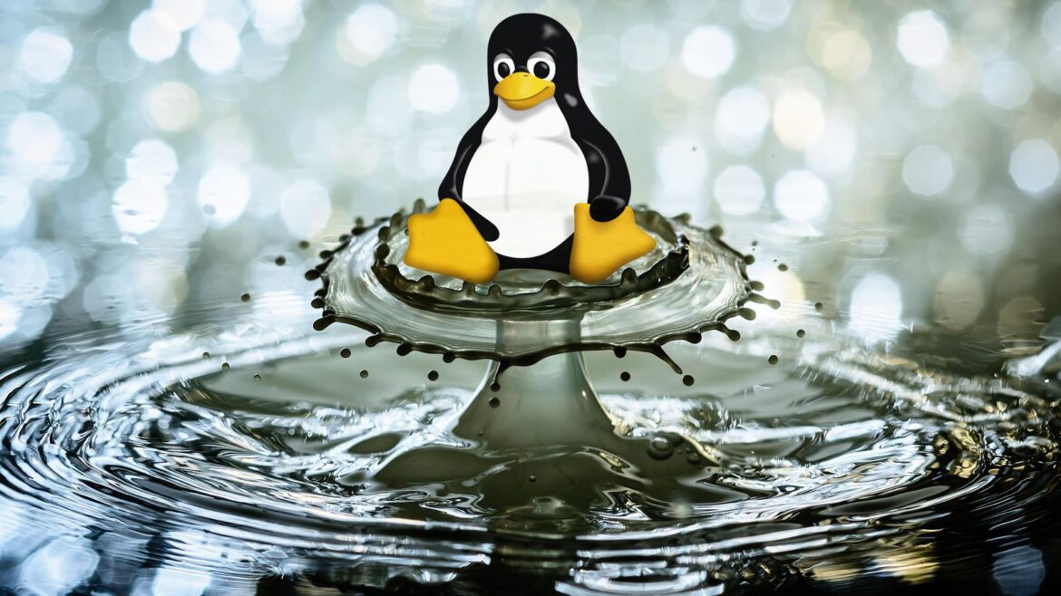 Linux y el falso 10% de cuota: los bots detrás del crecimiento - cuota de mercado Linux