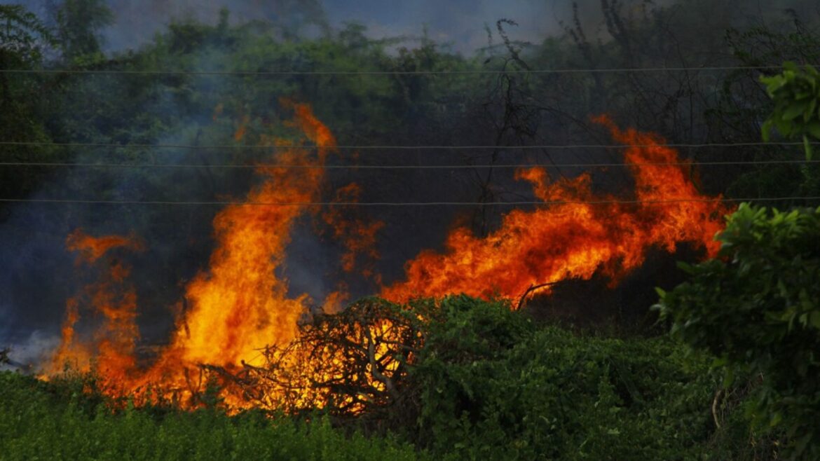 España vaciada: por qué el fuego ya no encuentra freno en el campo - España vaciada incendios