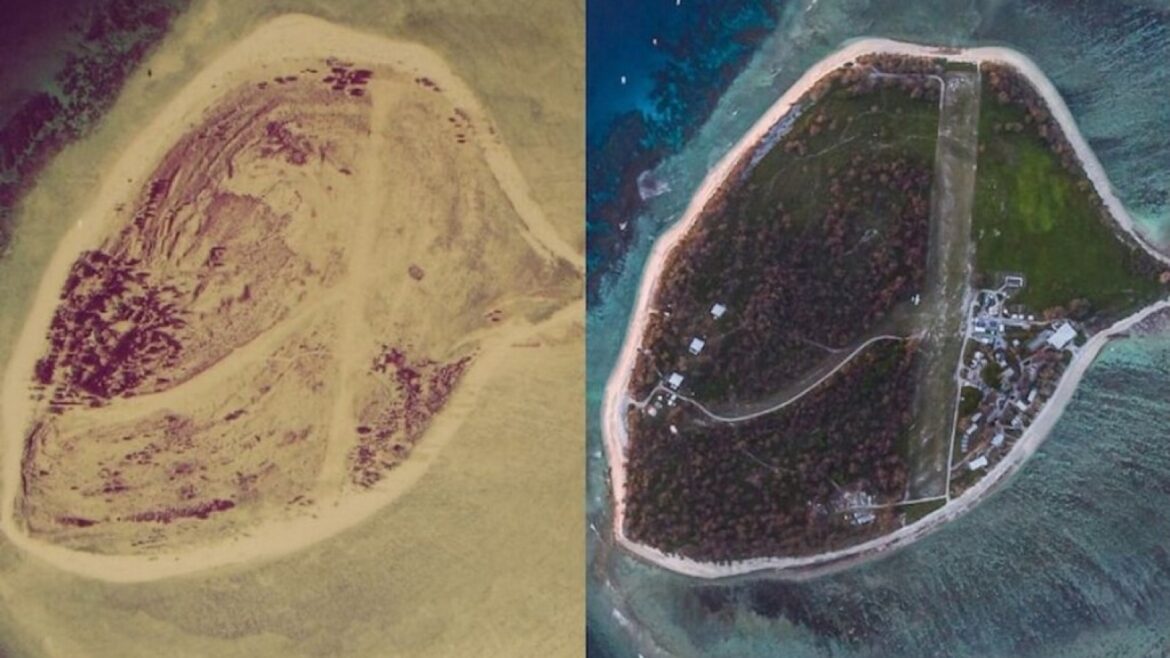 Lady Elliot Island: un piloto convirtió un desierto de coral en paraíso