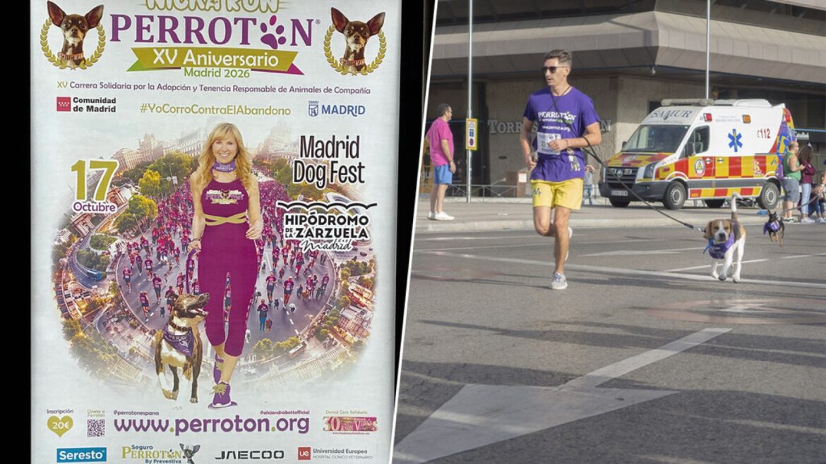 Perrotón Madrid 2026: el maratón de perros más grande de Europa vuelve