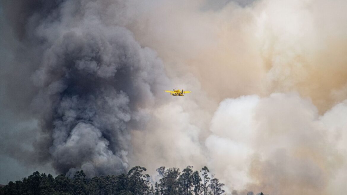 Pirocumulonimbos: el fuego que crea sus propias tormentas y alarma a la ciencia