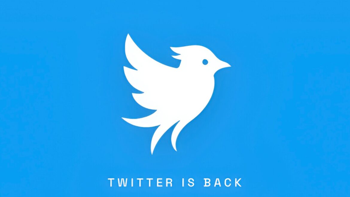 Twitter renace sin Musk: una startup lo resucita y estalla la guerra legal - Twitter resucita