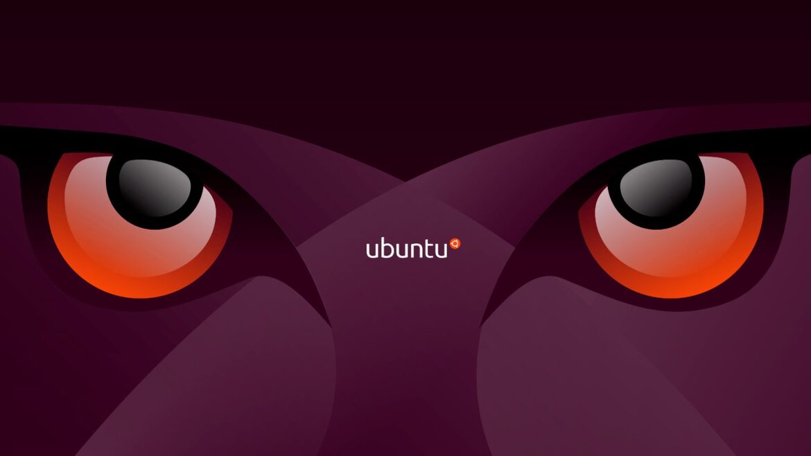 Ubuntu 26.10 Stonking Stingray congela funciones rumbo al lanzamiento