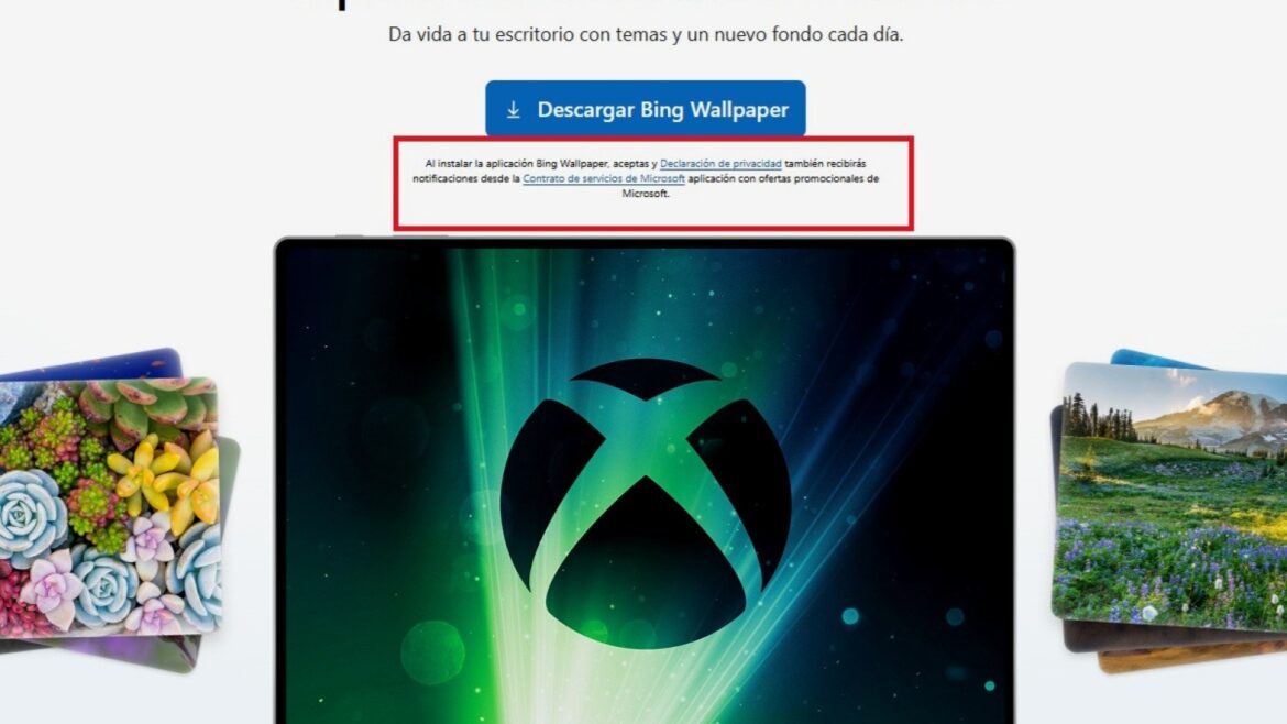 Windows 11 sigue con anuncios: Bing Wallpaper mete publicidad a pantalla completa - Bing Wallpaper publicidad