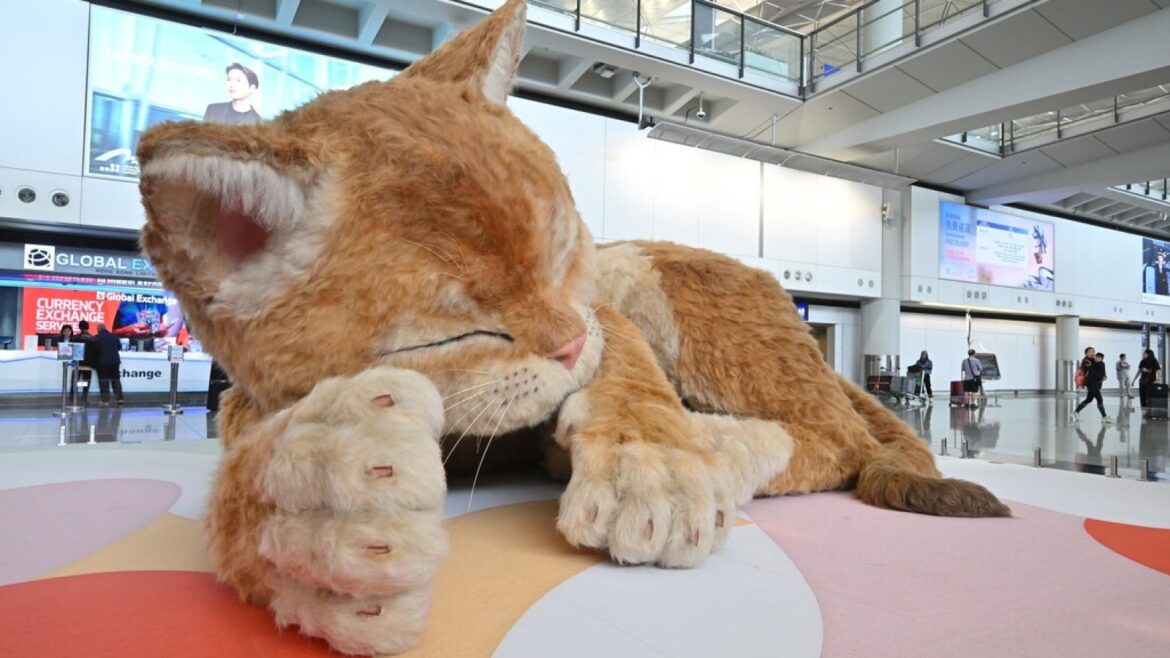 Un gato gigante de 8 metros invade el aeropuerto de Hong Kong y se mueve - gato gigante aeropuerto Hong
