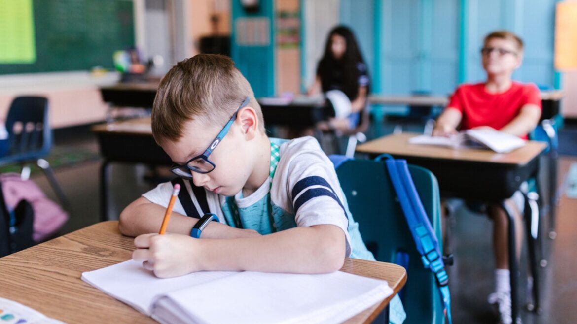 Tarjeta Virtual Educativa de Madrid: adiós a Roble por fin