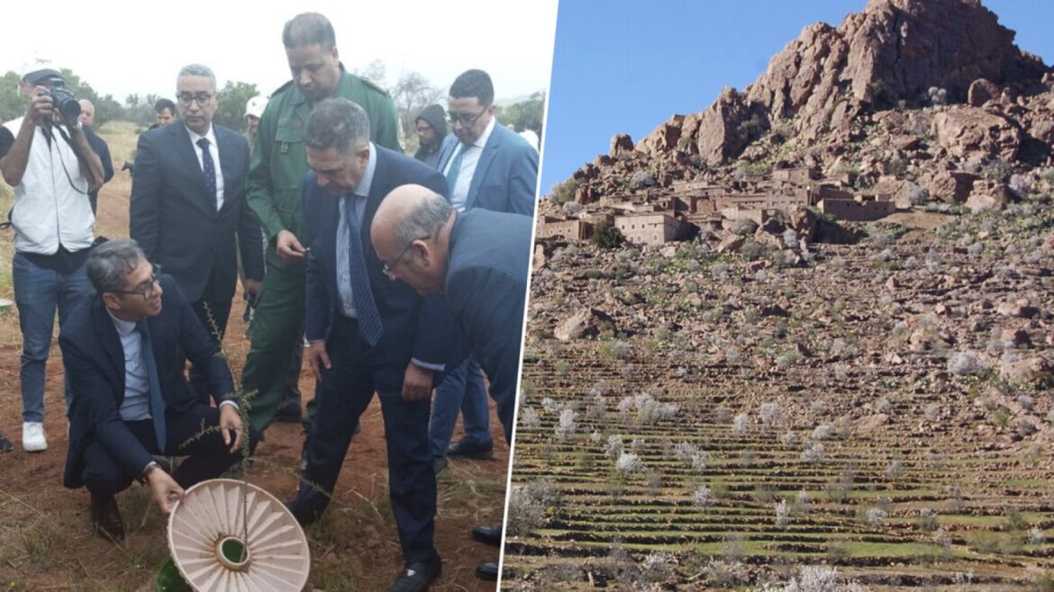 Waterbox: la caja que revive 1.200 hectáreas de desierto en Marruecos - Waterbox Marruecos