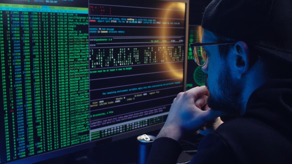 Web Shells: qué son, cómo funcionan y cómo protegerte de ellas